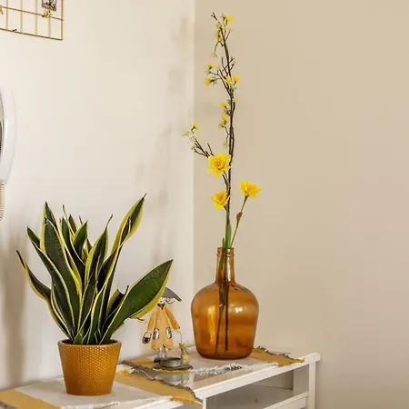 Sunflower Delight Lefkoşa