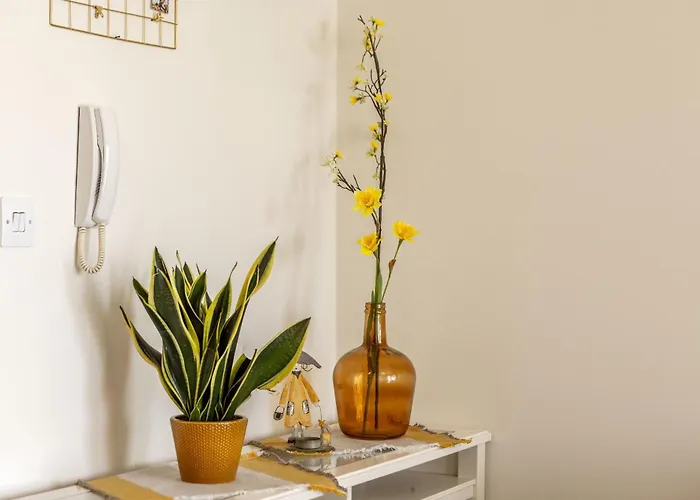 Sunflower Delight Lefkoşa