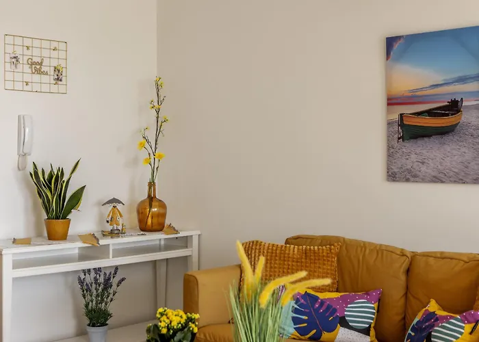 Sunflower Delight ニコシア